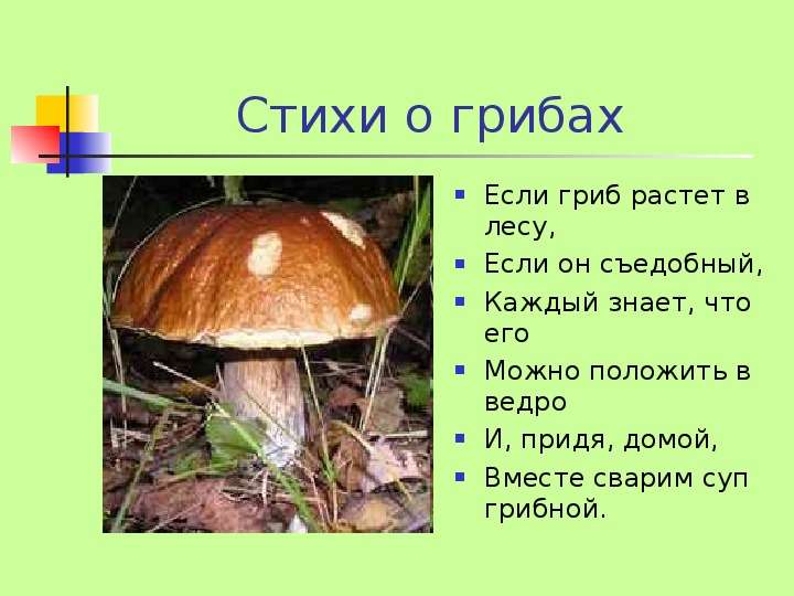 Стихи о грибах Если гриб