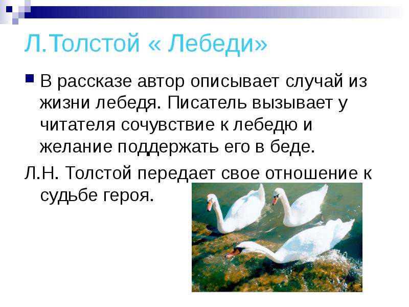 Л.Толстой Лебеди В рассказе