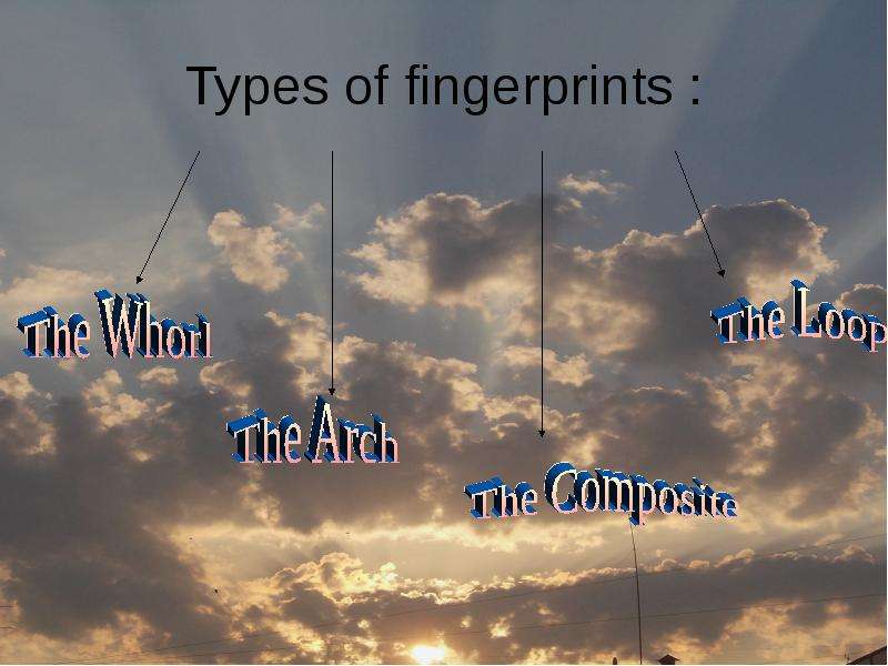 Types of fingerprints