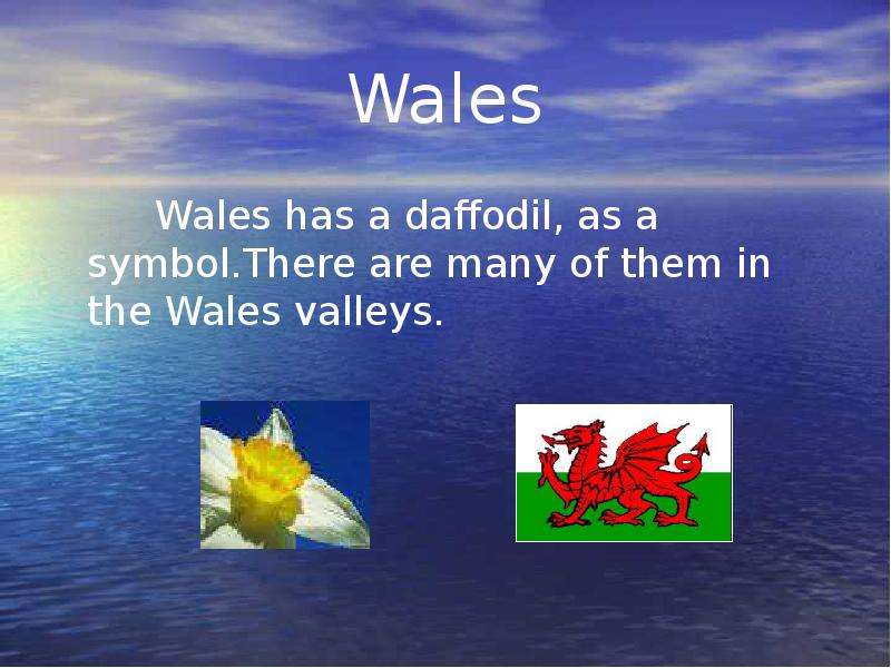 Wales has a daffodil, as a