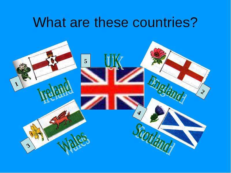 What are these countries?