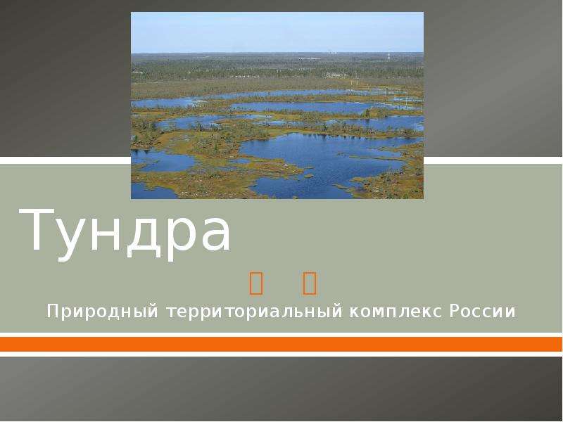 Презентация Тундра Природный территориальный комплекс России