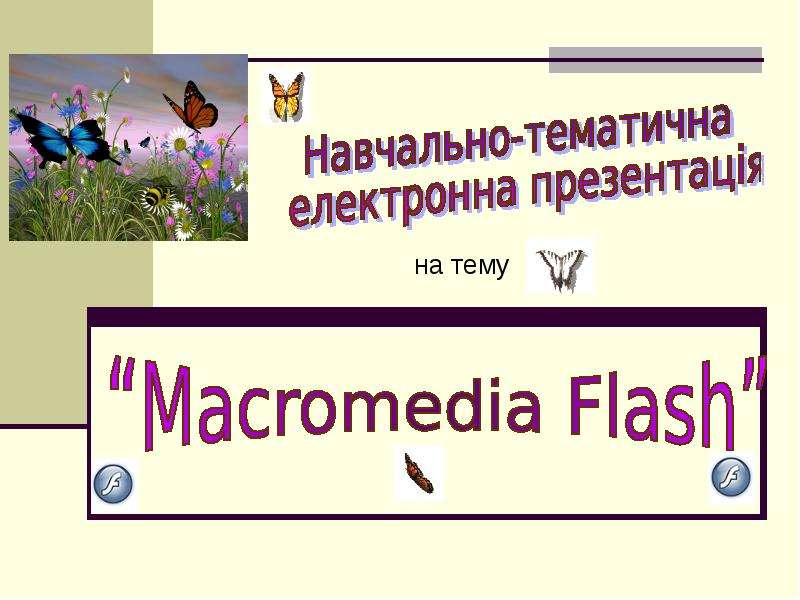 Презентация "Macromedia Flash" - скачать презентации по Информатике