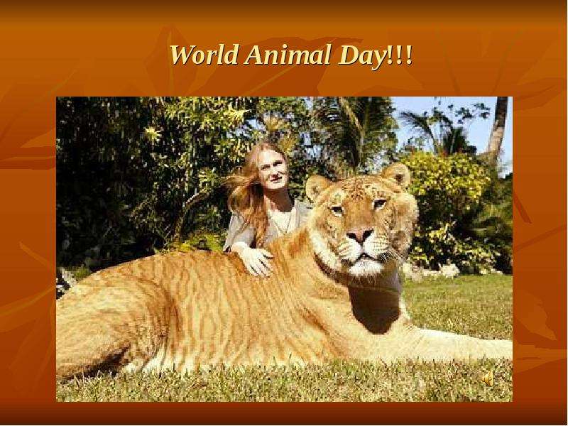 Презентация World Animal Day!!!