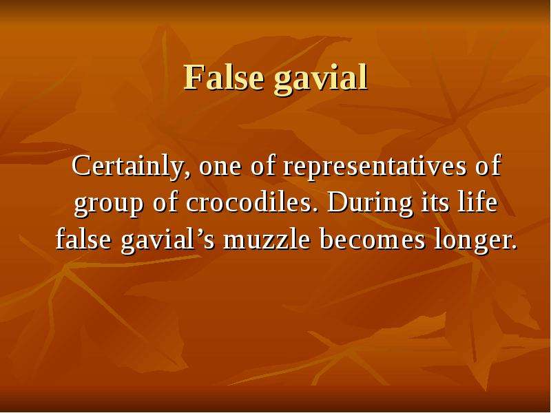 False gavial Certainly, one