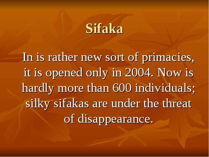 Sifaka In is rather new sort