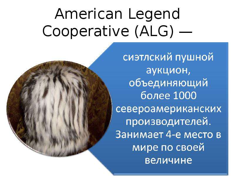 American Legend Cooperative