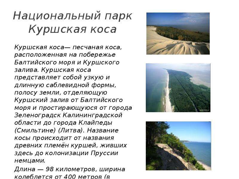 Национальный парк Куршская