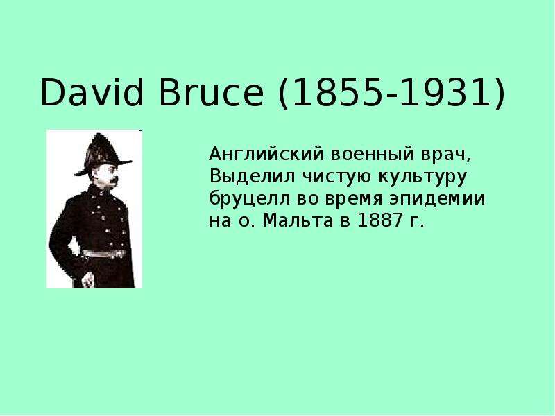 David Bruce -