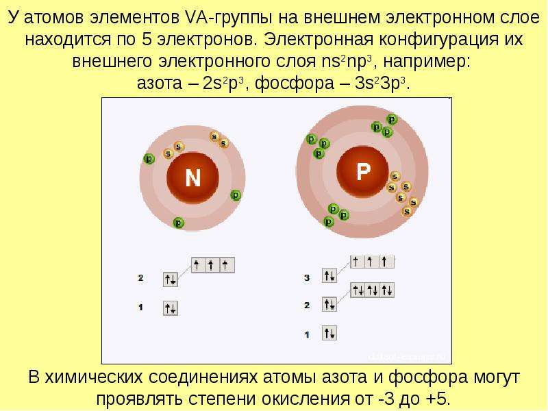 У атомов элементов VA-группы