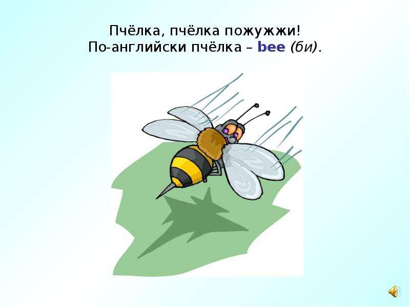 Пчёлка, пчёлка пожужжи!