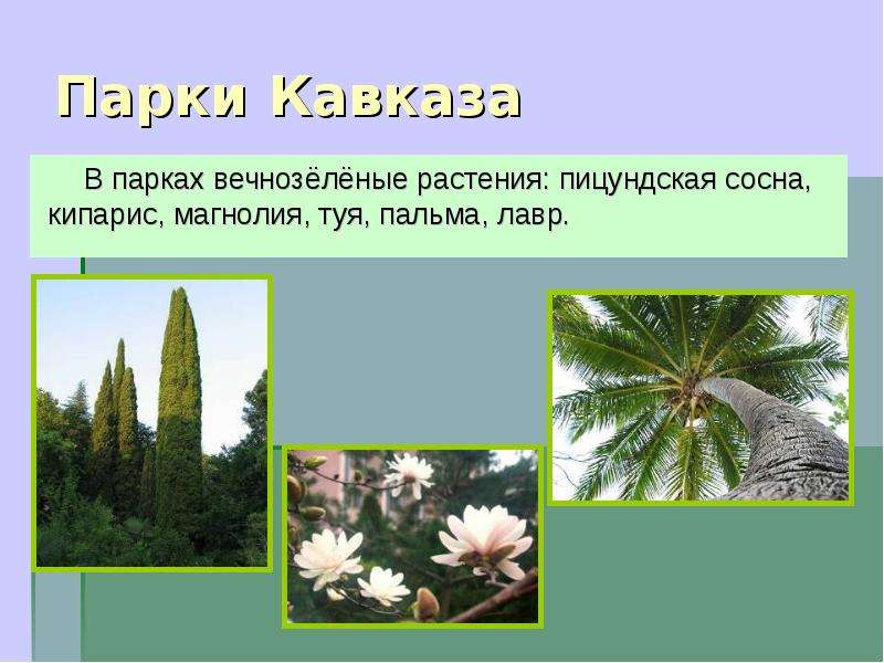 Парки Кавказа