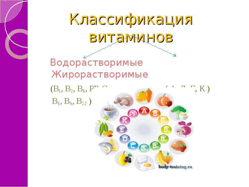 Классификация витаминов