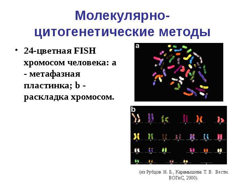Молекулярно-цитогенетические