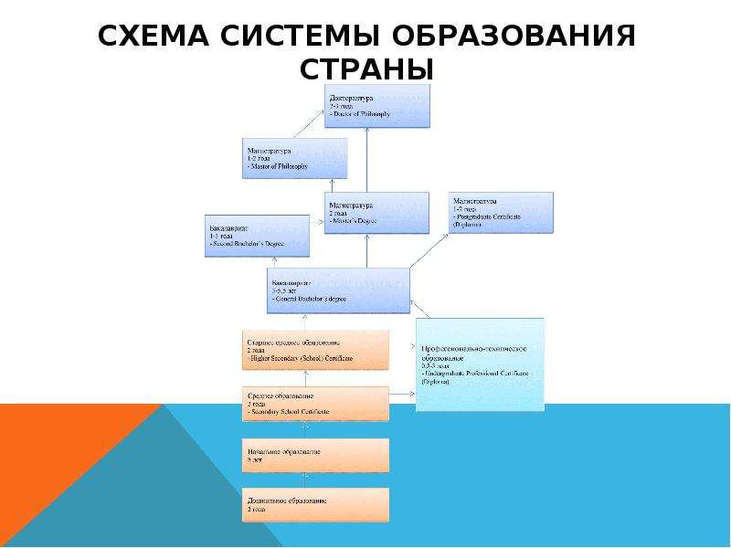 Схема системы образования