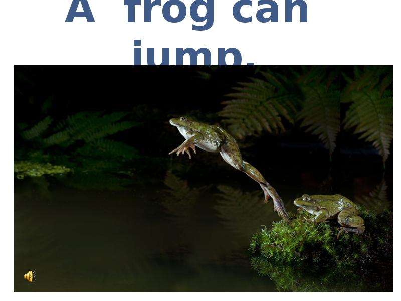 A frog can jump.