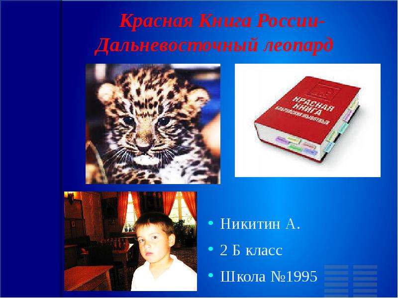Презентация На тему "Красная Книга России. Дальневосточный леопард" - скачать презентации по Биологии