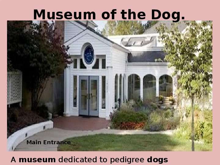 Museum of the Dog. A museum