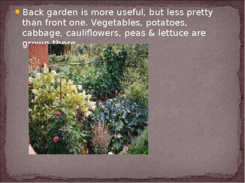 Back garden is more useful,