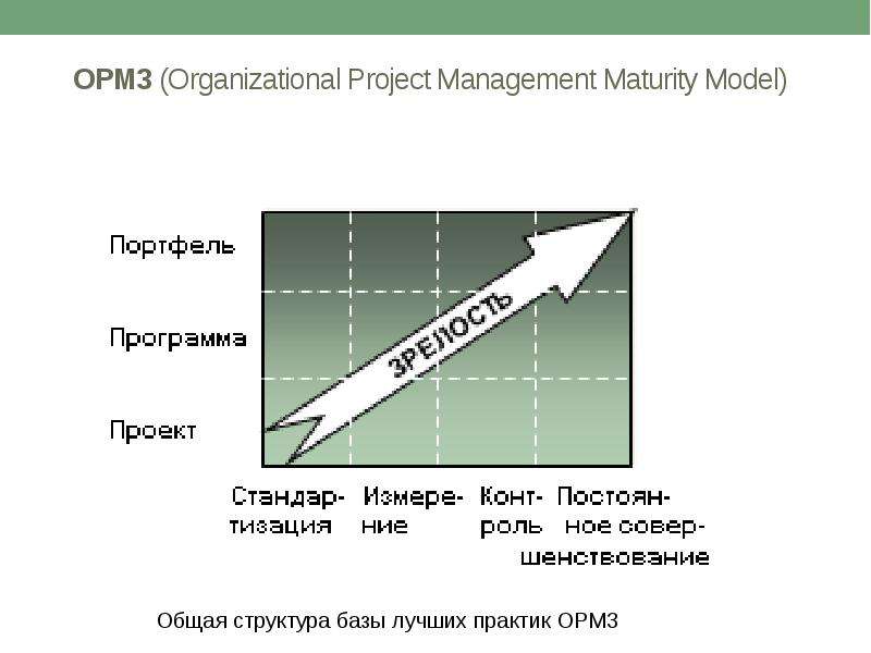 OPM Organizational Project