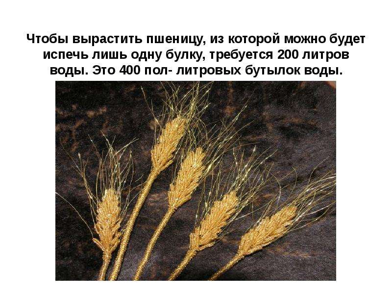Чтобы вырастить пшеницу, из
