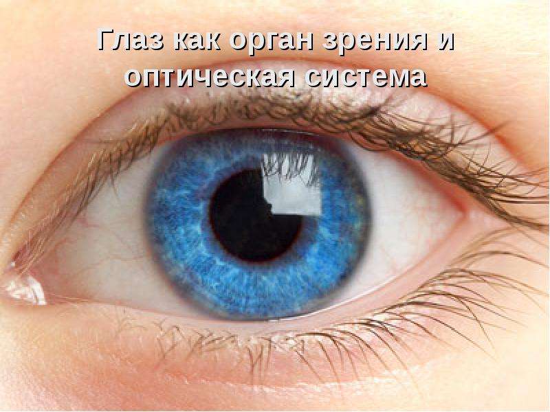 Презентация На тему Глаз как орган зрения и оптическая система
