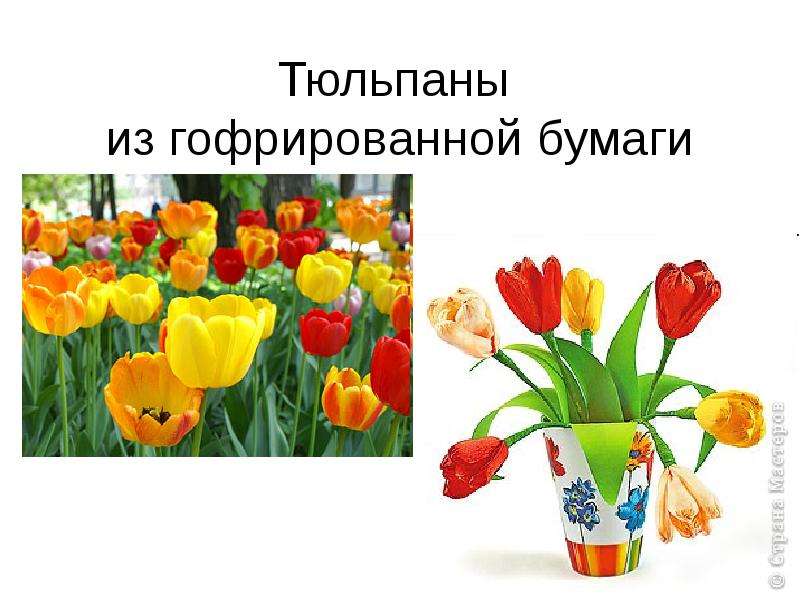 Презентация Тюльпаны из гофрированной бумаги