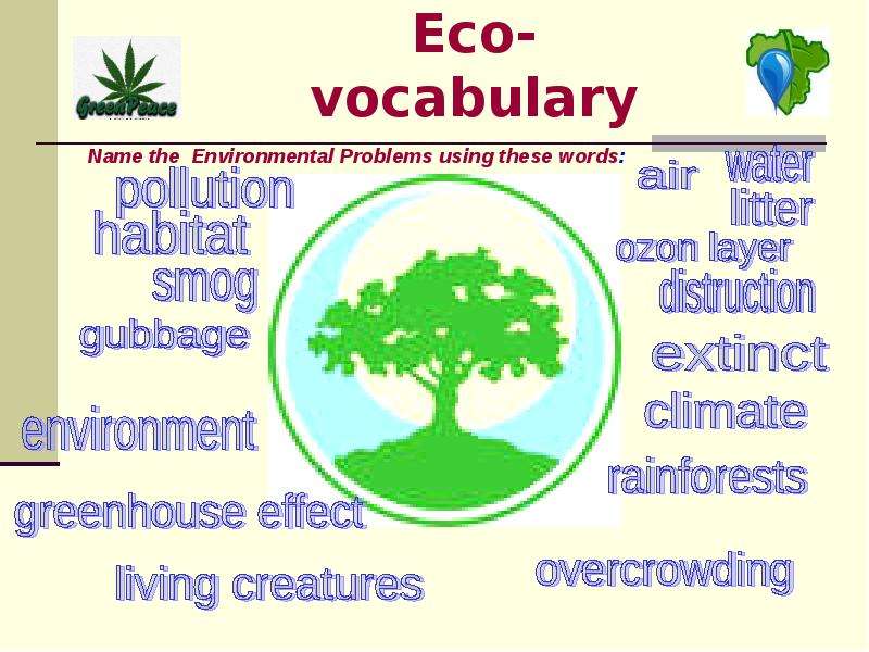 Eco- vocabulary Name the