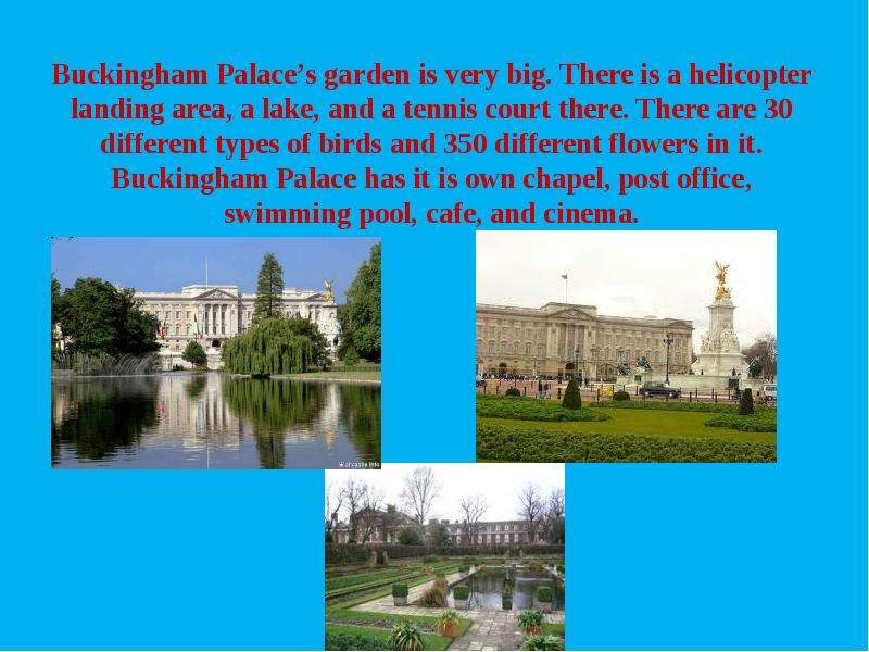 Buckingham Palace s garden is