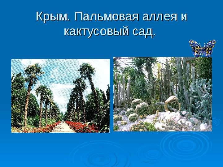 Крым. Пальмовая аллея и