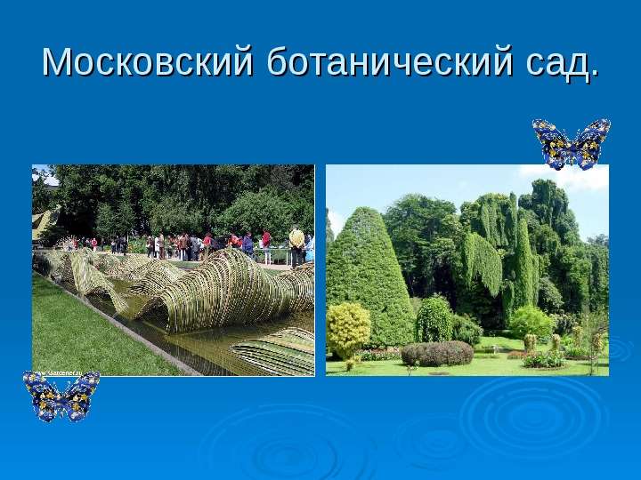 Московский ботанический сад.