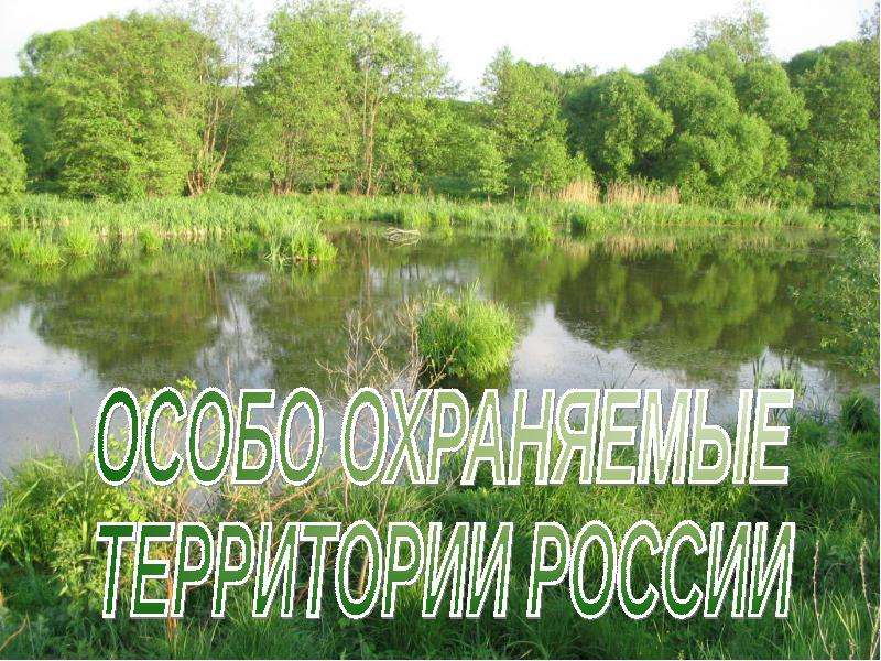 Презентация "Особо охраняемые территории России" - скачать презентации по Экологии