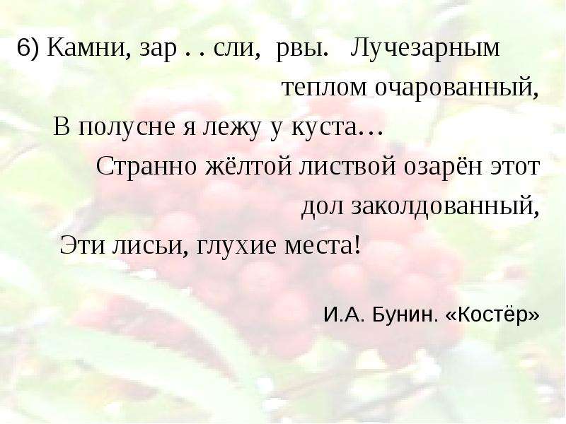 Камни, зар . . сли, рвы.