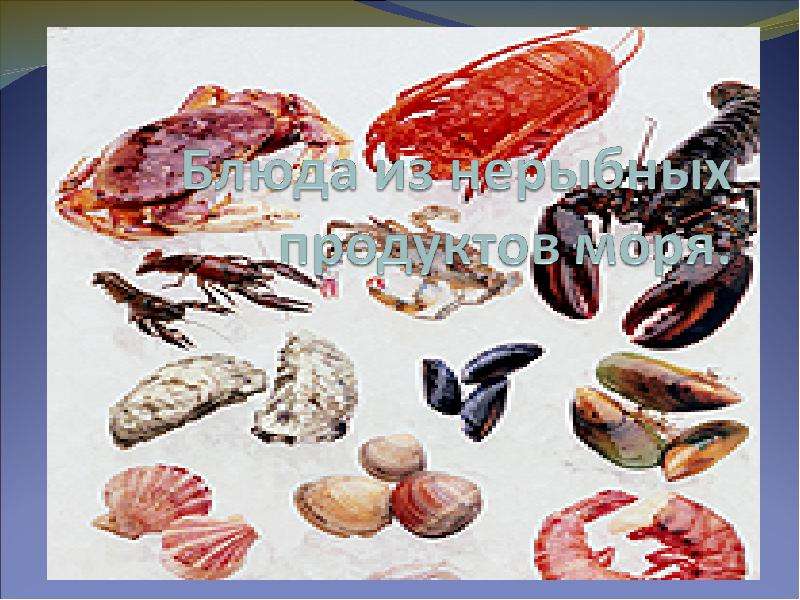 Презентация Блюда из нерыбных продуктов моря - презентация к уроку Технологии