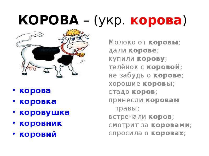 КОРОВА укр. корова корова