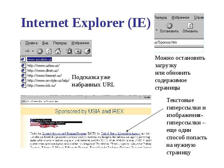 Internet Explorer IE