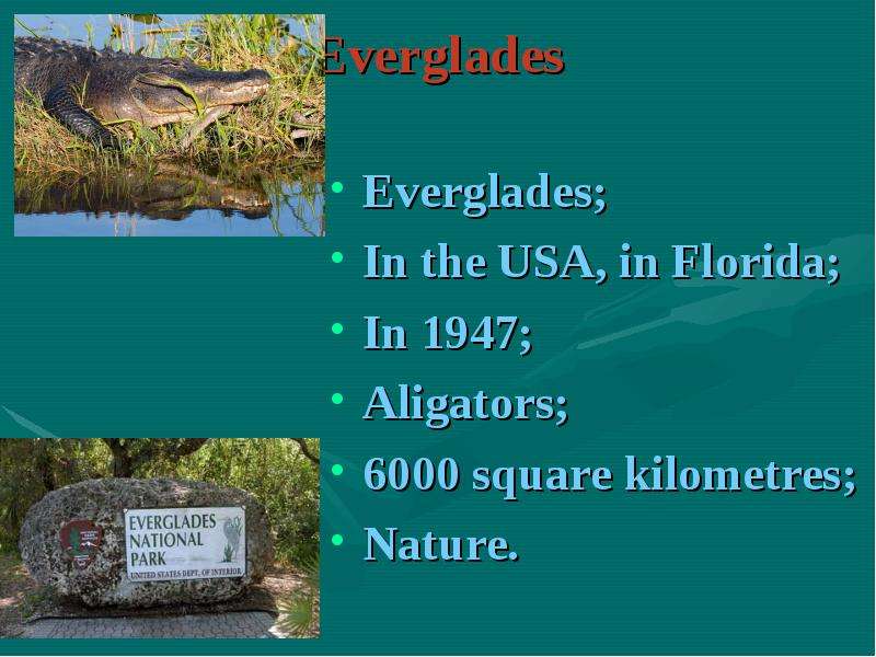 Everglades Everglades In the