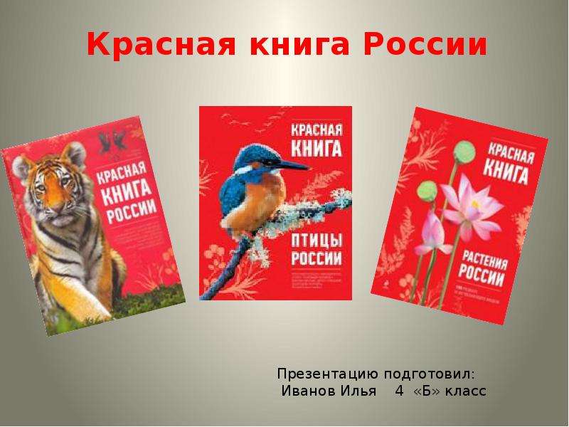 Презентация Скачать презентацию Красная книга России