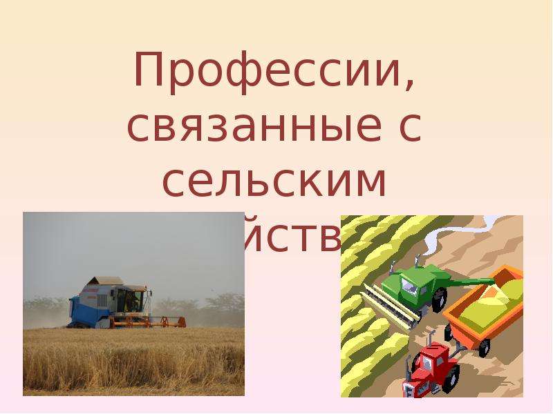 Презентация На тему "Профессии, связанные с сельским хозяйством" скачать