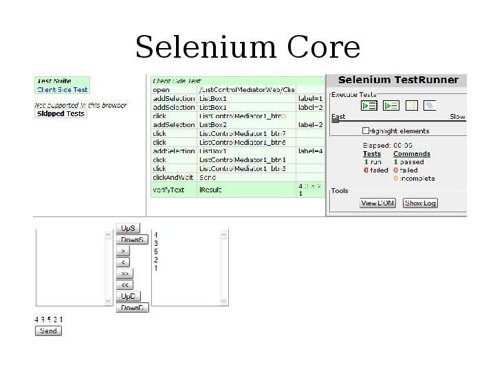 Selenium Core