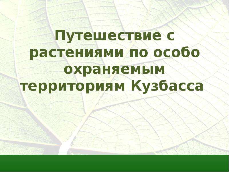 Презентация Путешествие с растениями по особо охраняемым территориям Кузбасса
