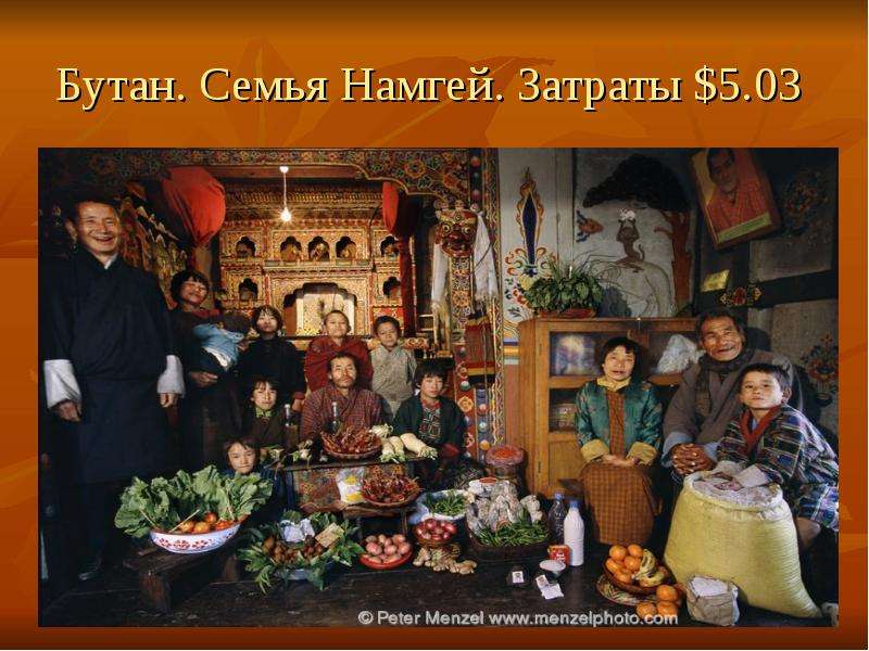 Бутан. Семья Намгей. Затраты .