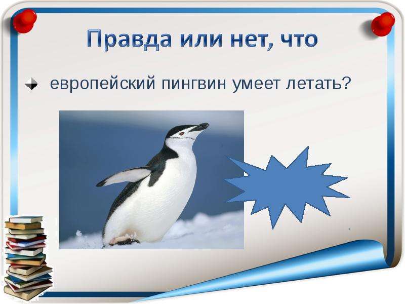 европейский пингвин умеет