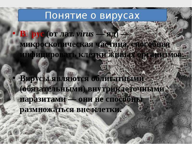Вирус от лат. virus яд