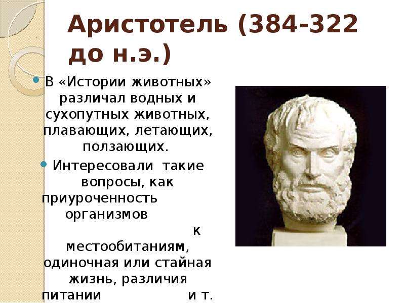 Аристотель - до н.э. В