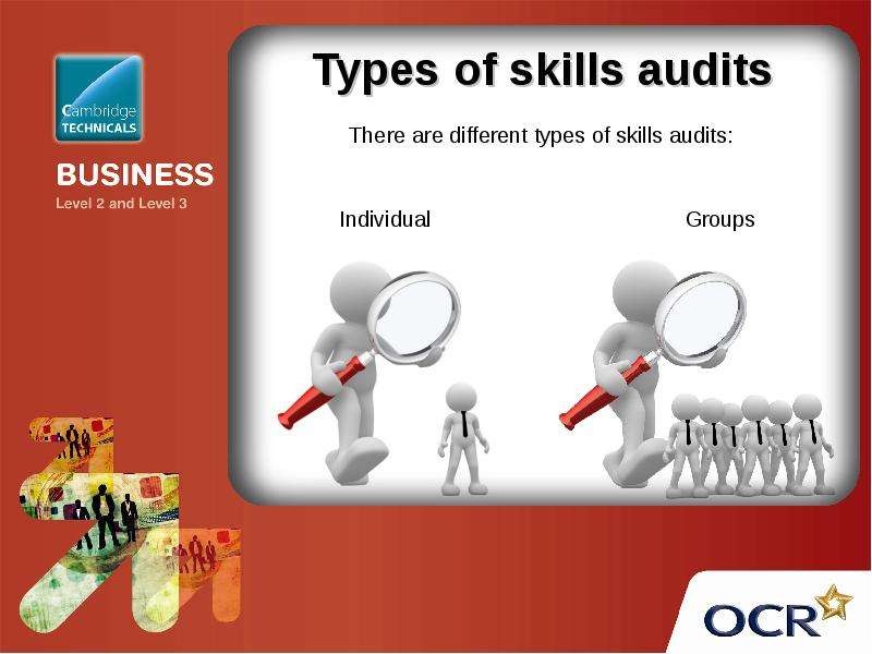 Types of skills audits