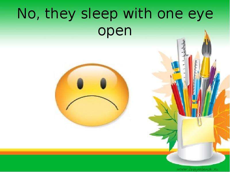 No, they sleep with one eye