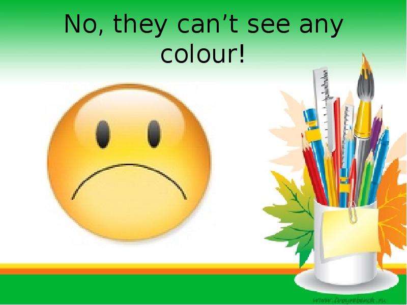 No, they can t see any colour!
