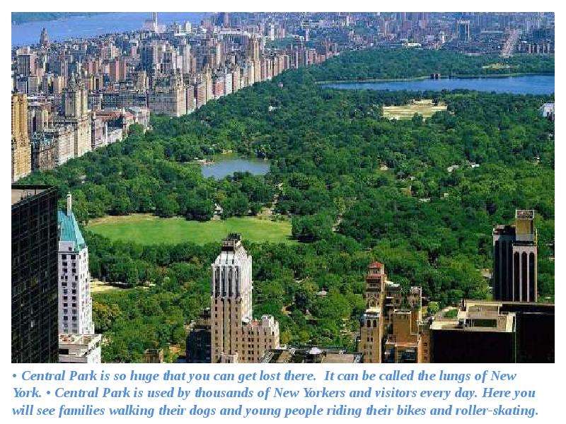 Central Park is so huge that