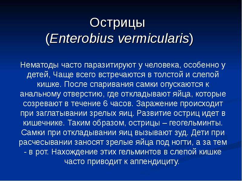 Острицы Enterobius